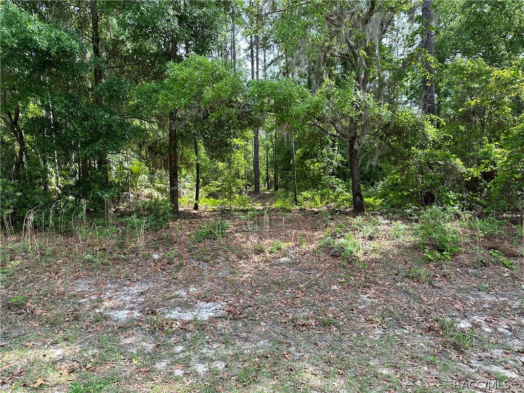 2998 W Birds Nest Drive