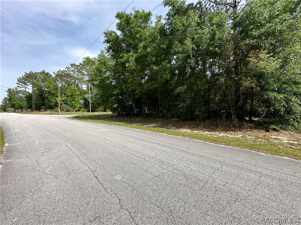 2998 W Birds Nest Drive