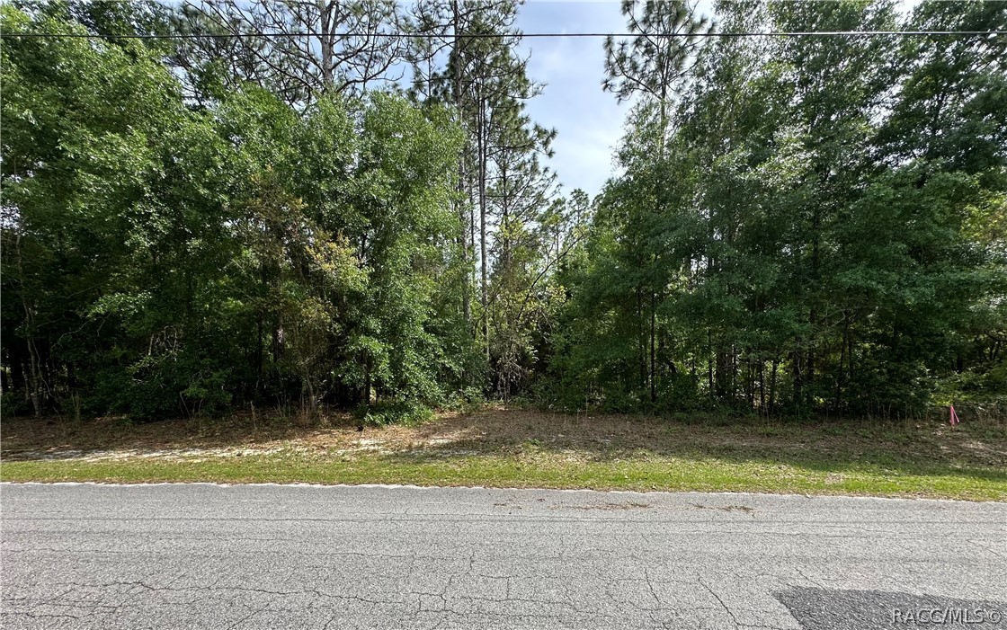 2998 W Birds Nest Drive