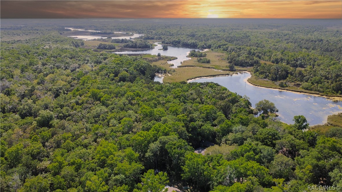 8972 W White Dogwood Drive