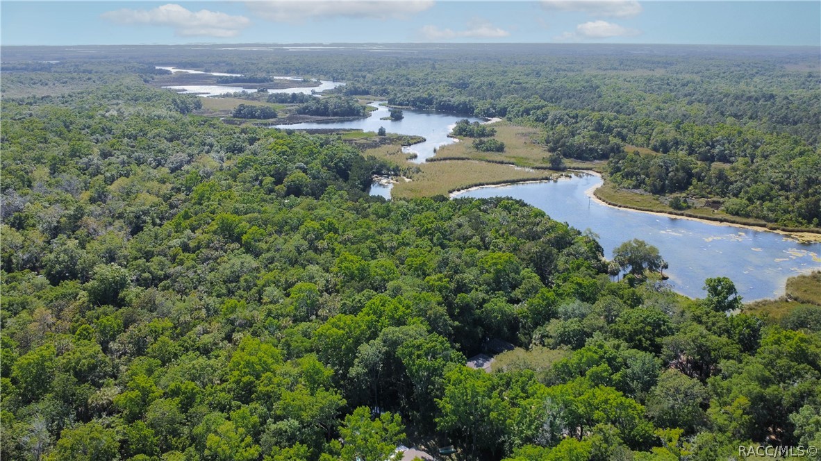 8972 W White Dogwood Drive