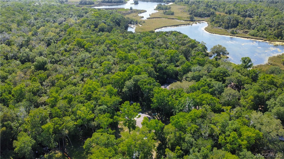 8972 W White Dogwood Drive