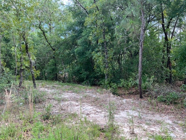 1108 E Van Gogh Court