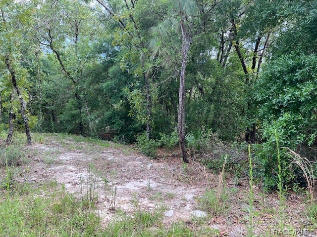 1108 E Van Gogh Court