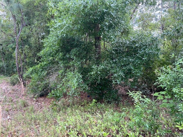 1108 E Van Gogh Court