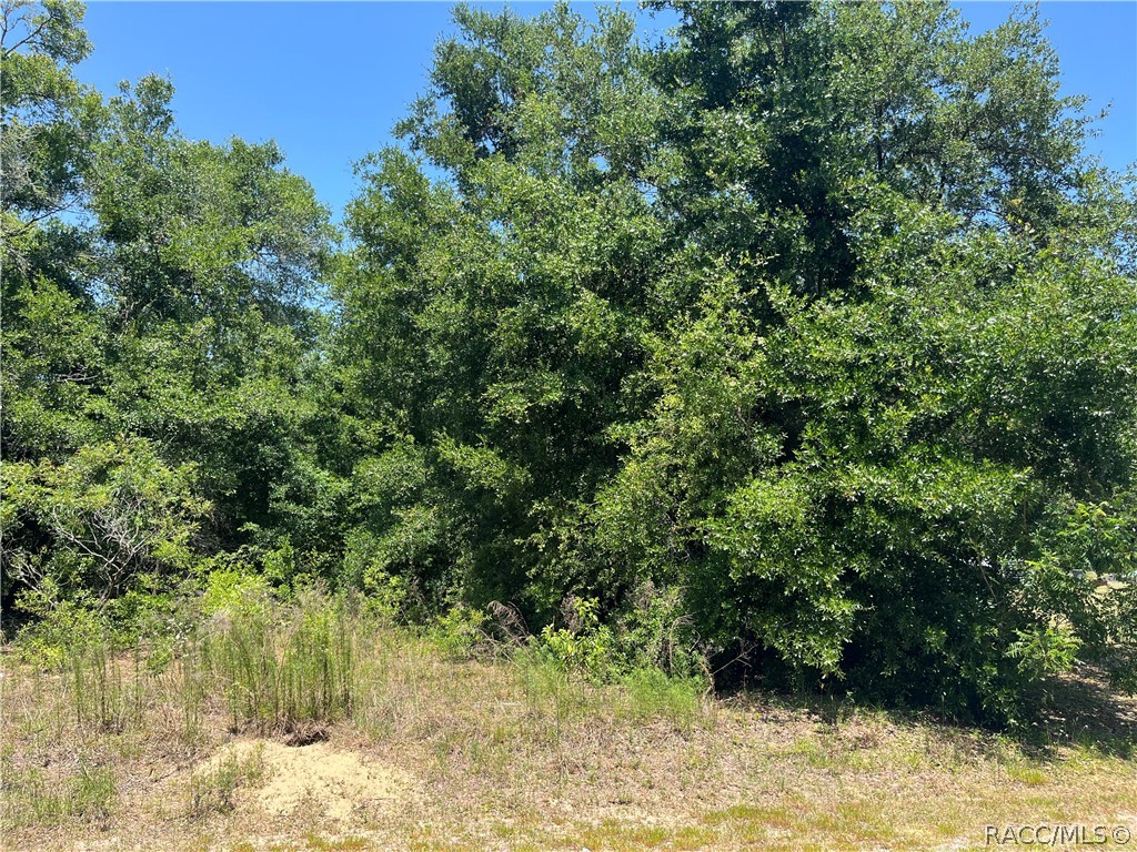 3255 E Gladys Street