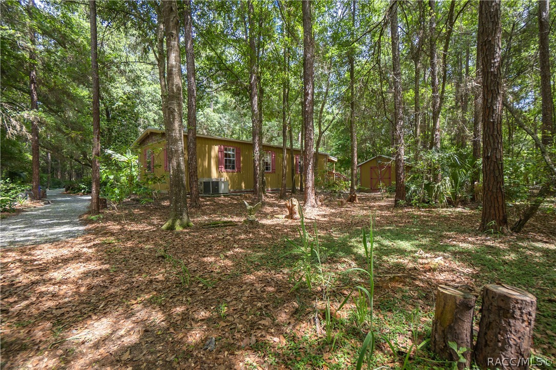 7700 N Palm Oak Drive