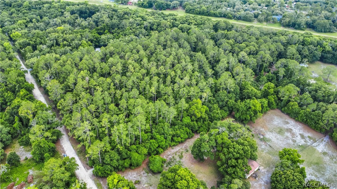 7700 N Palm Oak Drive