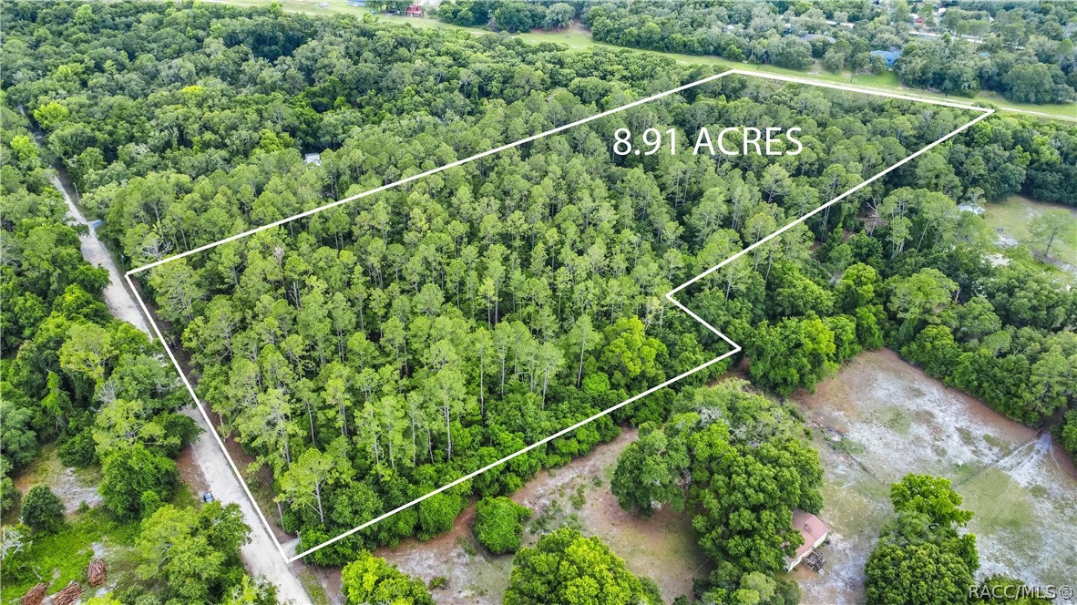 7700 N Palm Oak Drive