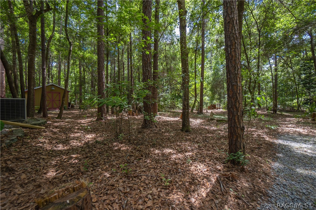 7700 N Palm Oak Drive