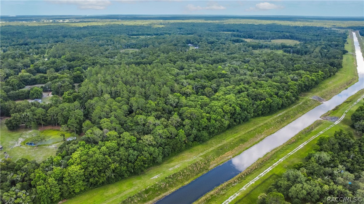 7700 N Palm Oak Drive