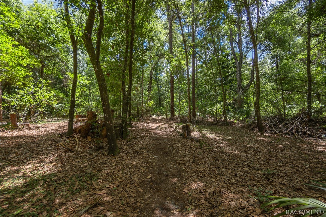 7700 N Palm Oak Drive