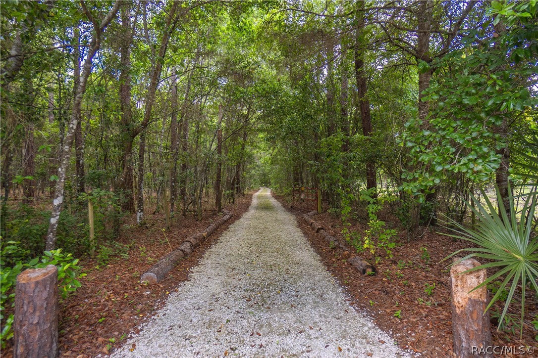 7700 N Palm Oak Drive