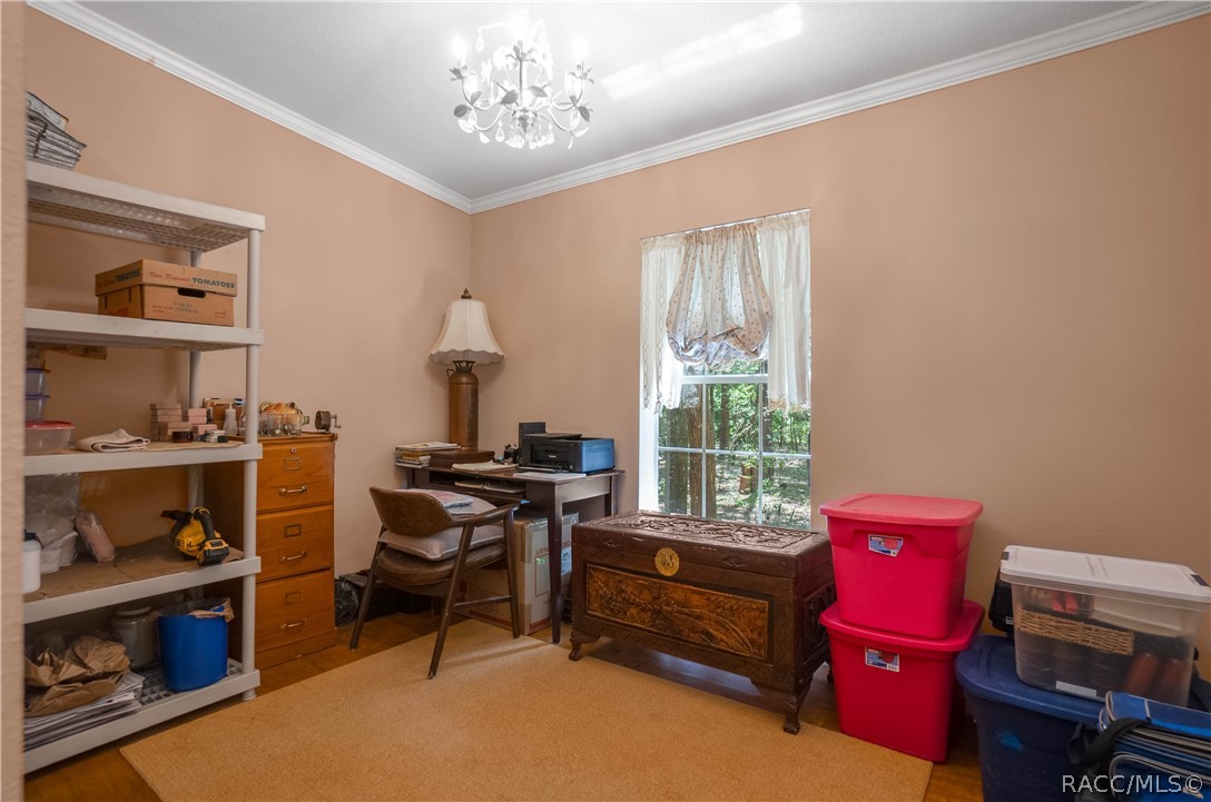 7700 N Palm Oak Drive