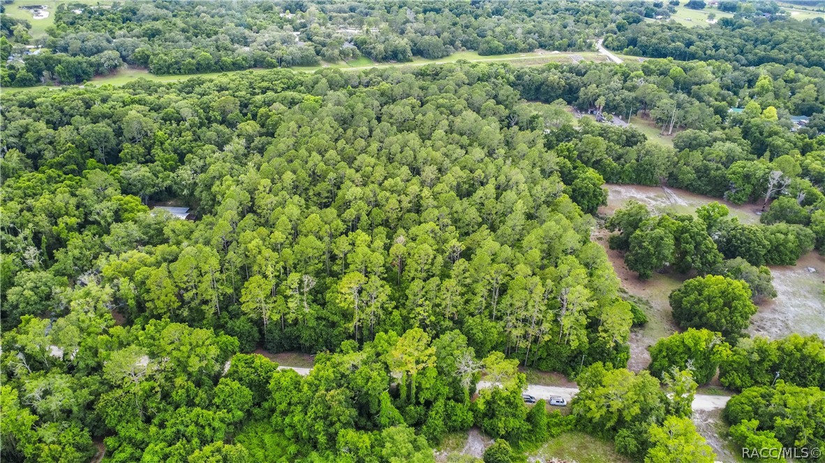 7700 N Palm Oak Drive