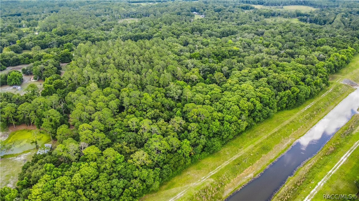 7700 N Palm Oak Drive