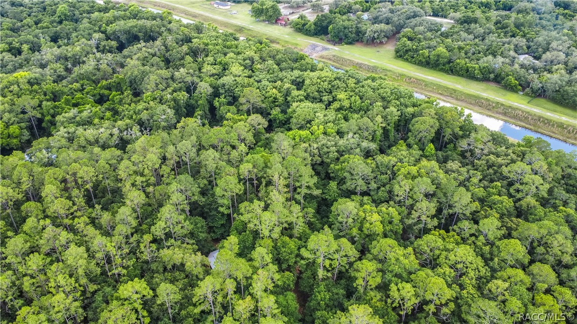 7700 N Palm Oak Drive