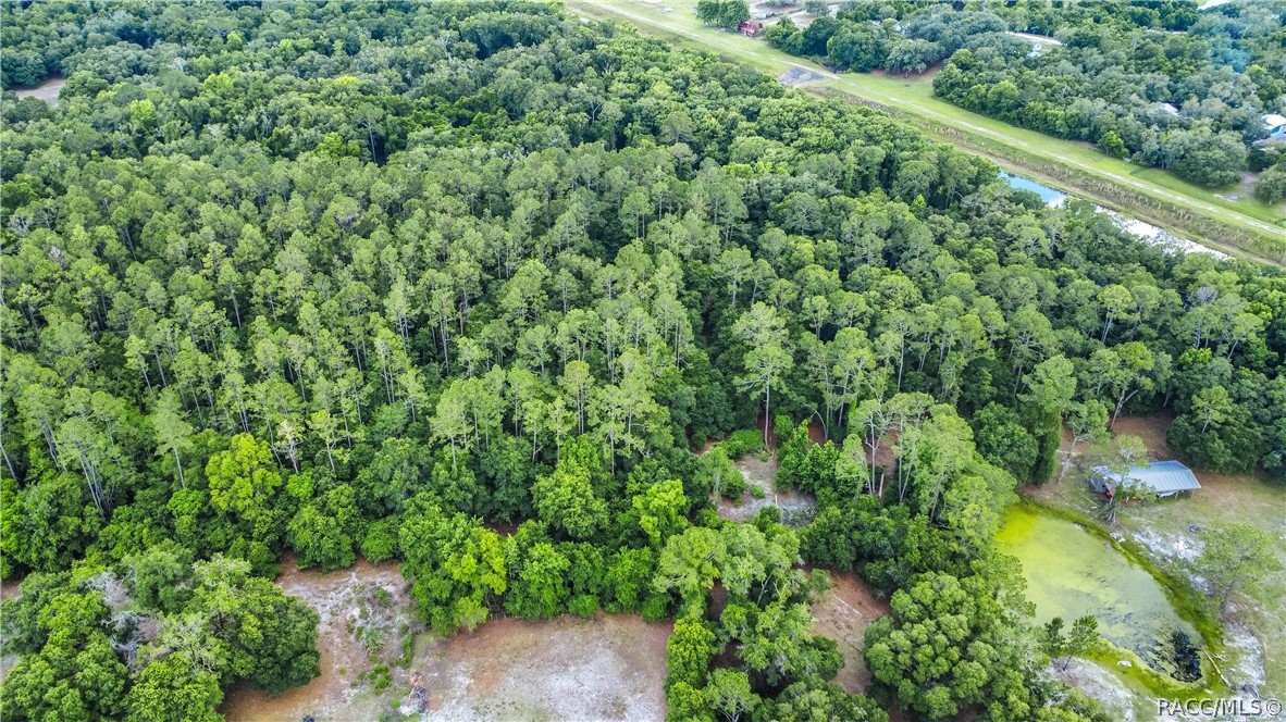 7700 N Palm Oak Drive