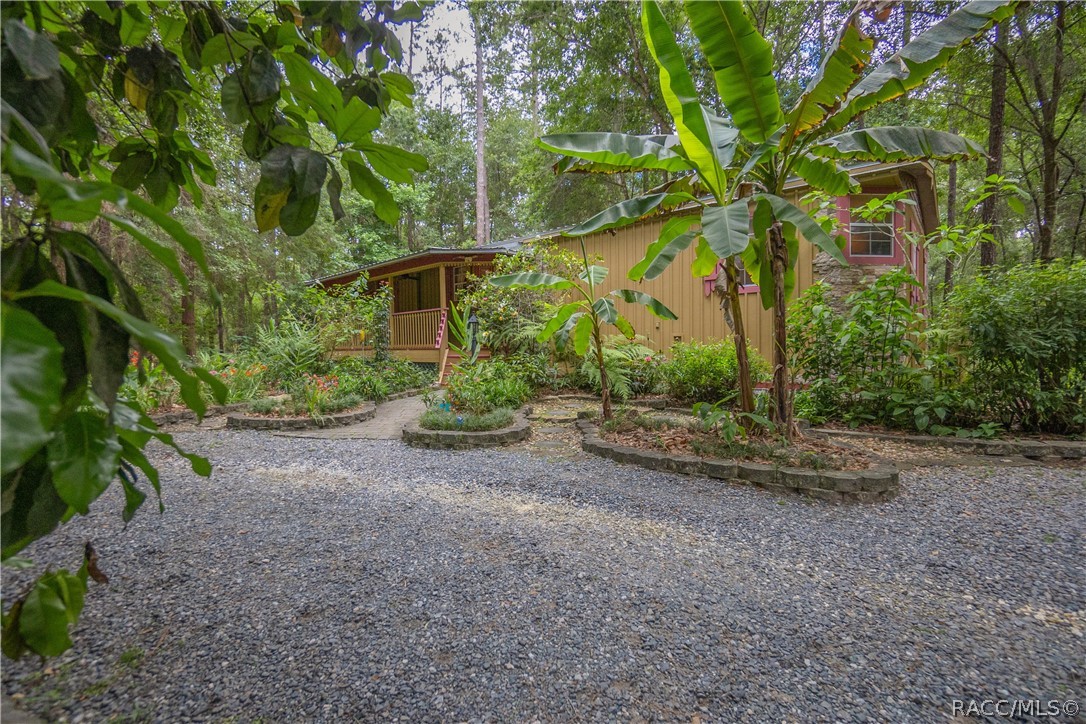 7700 N Palm Oak Drive