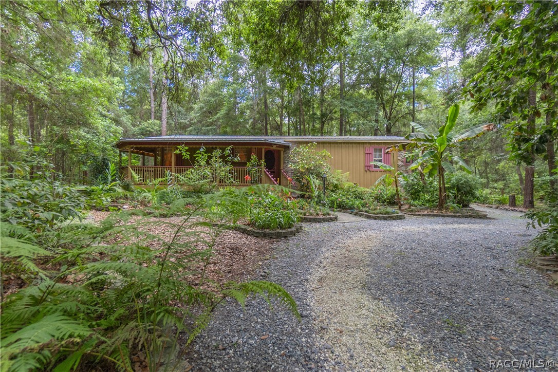 7700 N Palm Oak Drive