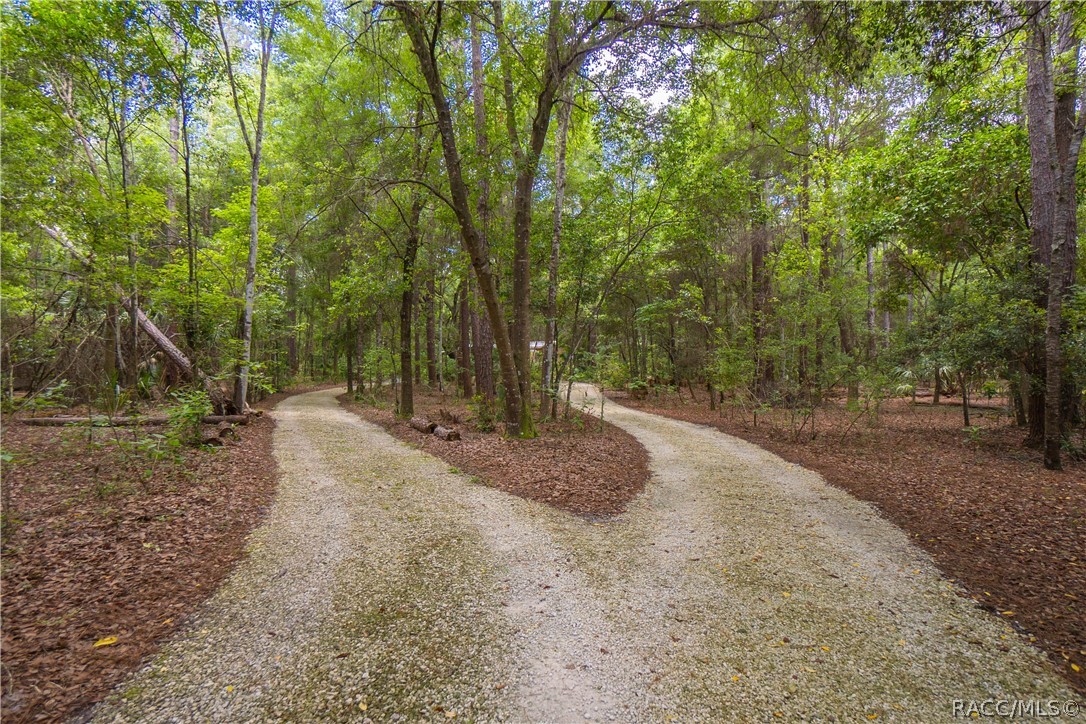 7700 N Palm Oak Drive