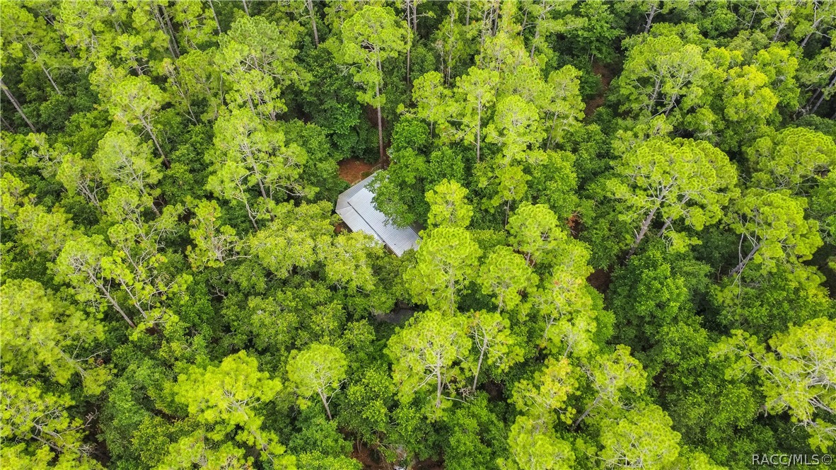 7700 N Palm Oak Drive