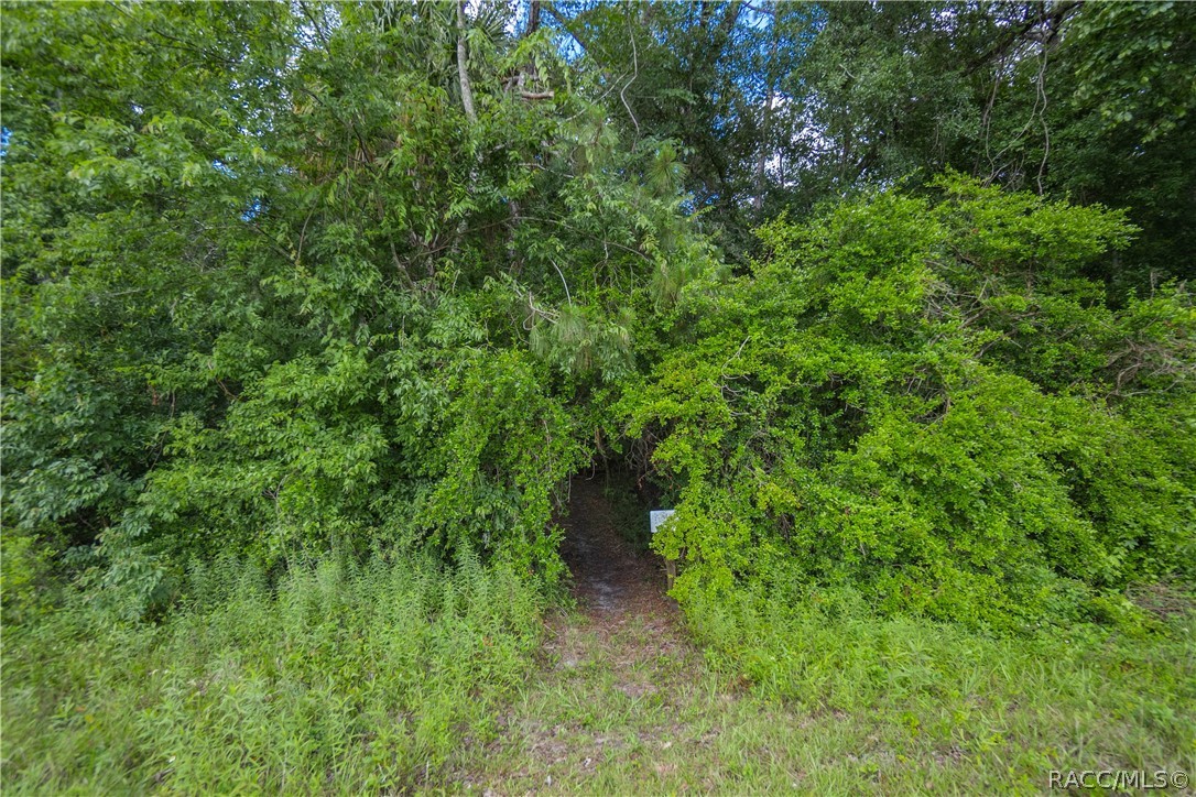 7700 N Palm Oak Drive