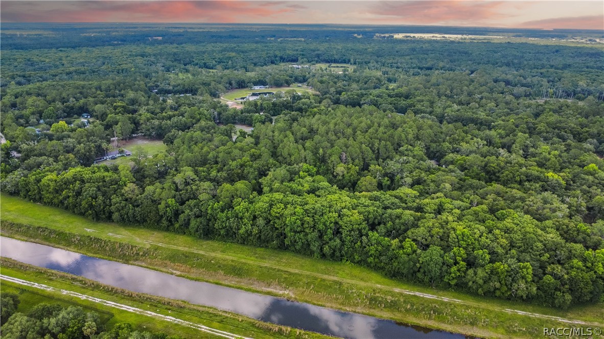 7700 N Palm Oak Drive