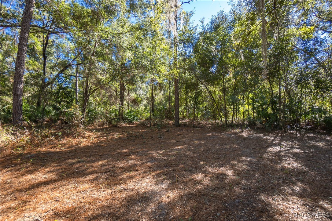 9930 W Pomegranate Street