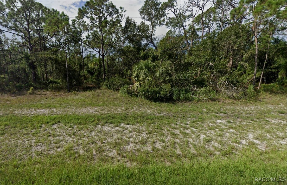 00 Tropicaire Boulevard