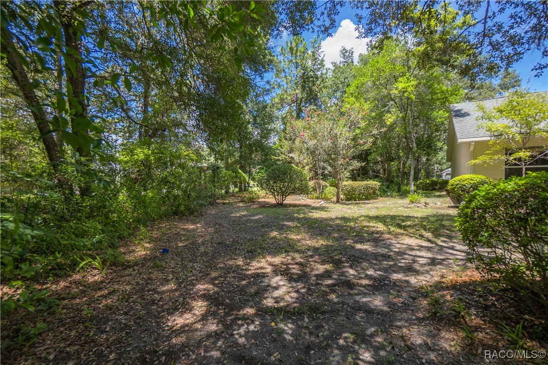 5326 N Red Ribbon Point