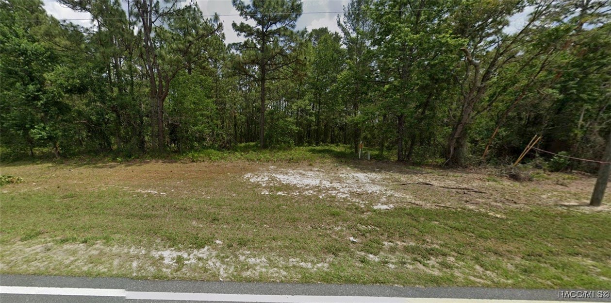 00 Marion Oaks Manor
