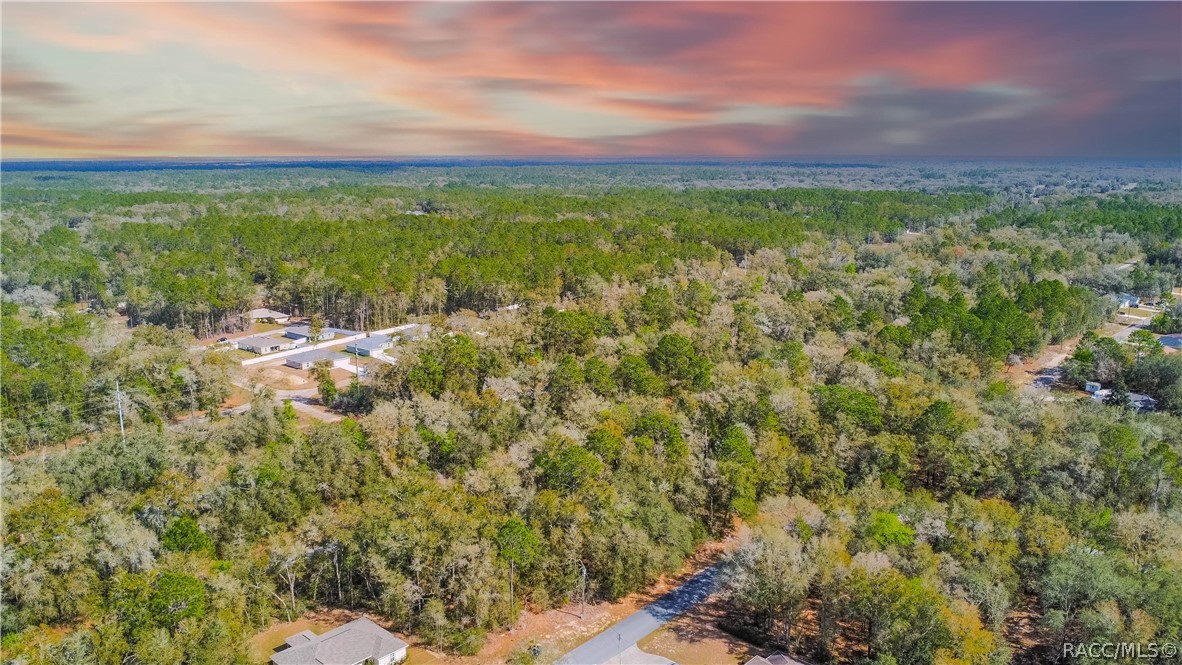 8743 N Sandree Drive