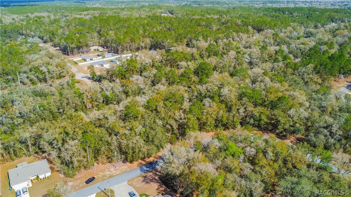 8743 N Sandree Drive