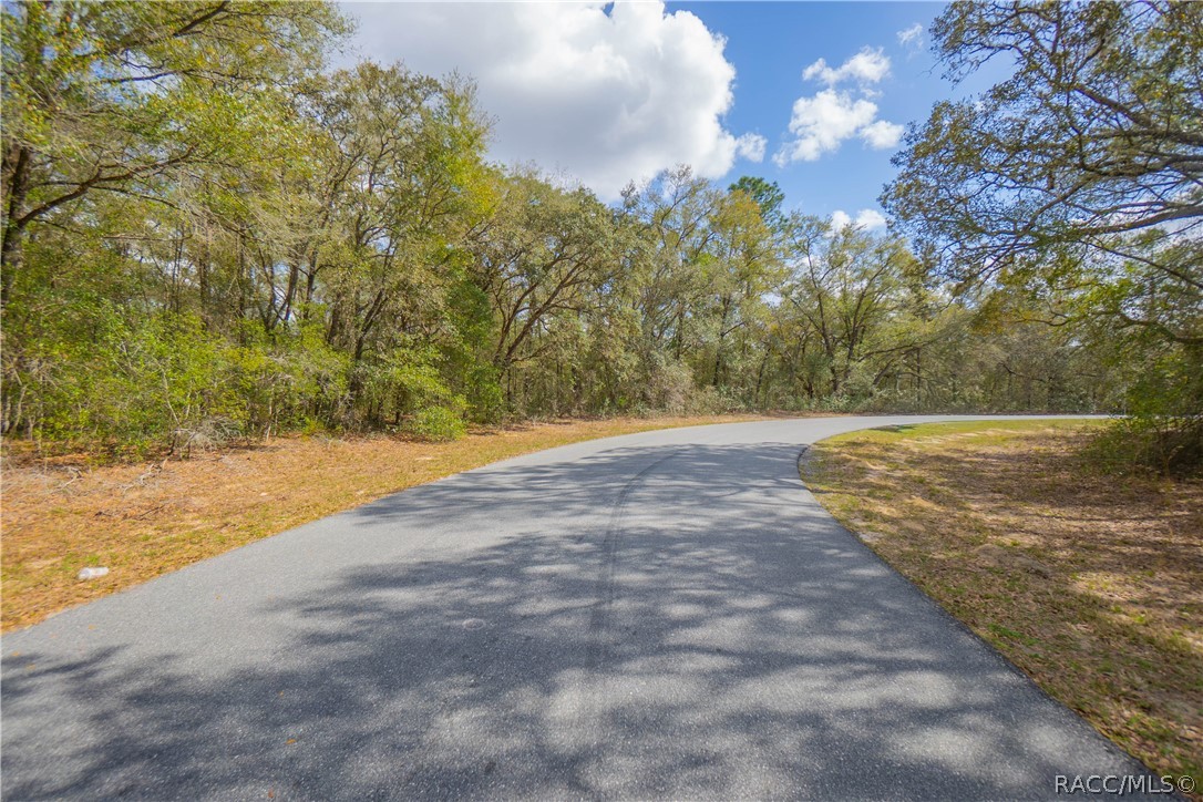 8743 N Sandree Drive