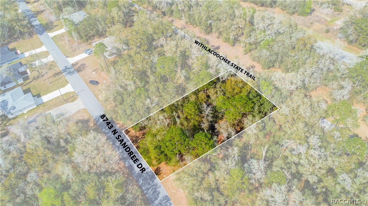 8743 N Sandree Drive