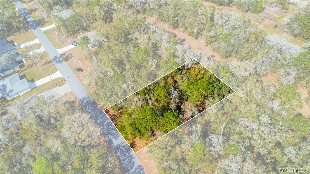 8743 N Sandree Drive