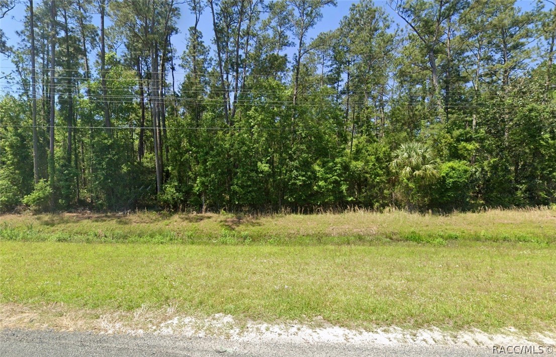 00 SE US 19 Highway