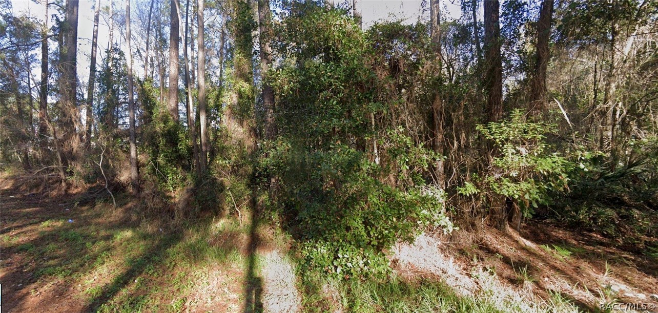 110 Pamela Drive