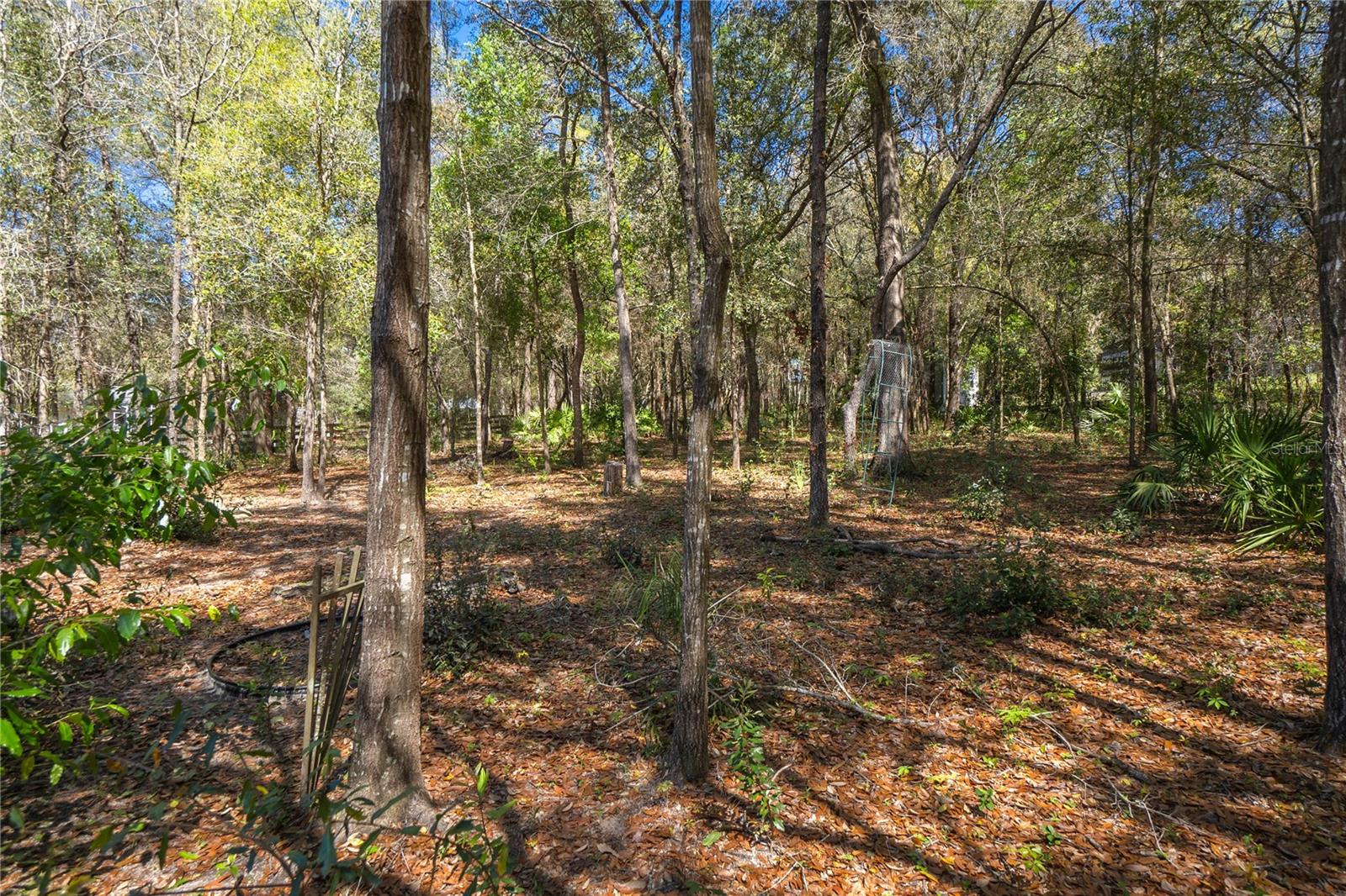 1035 N NEW LONDON TER