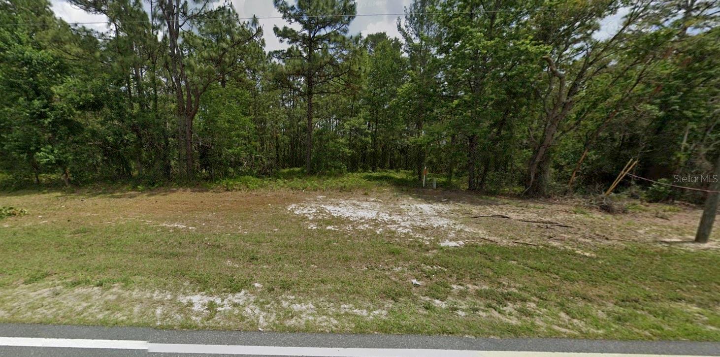 00 MARION OAKS MNR