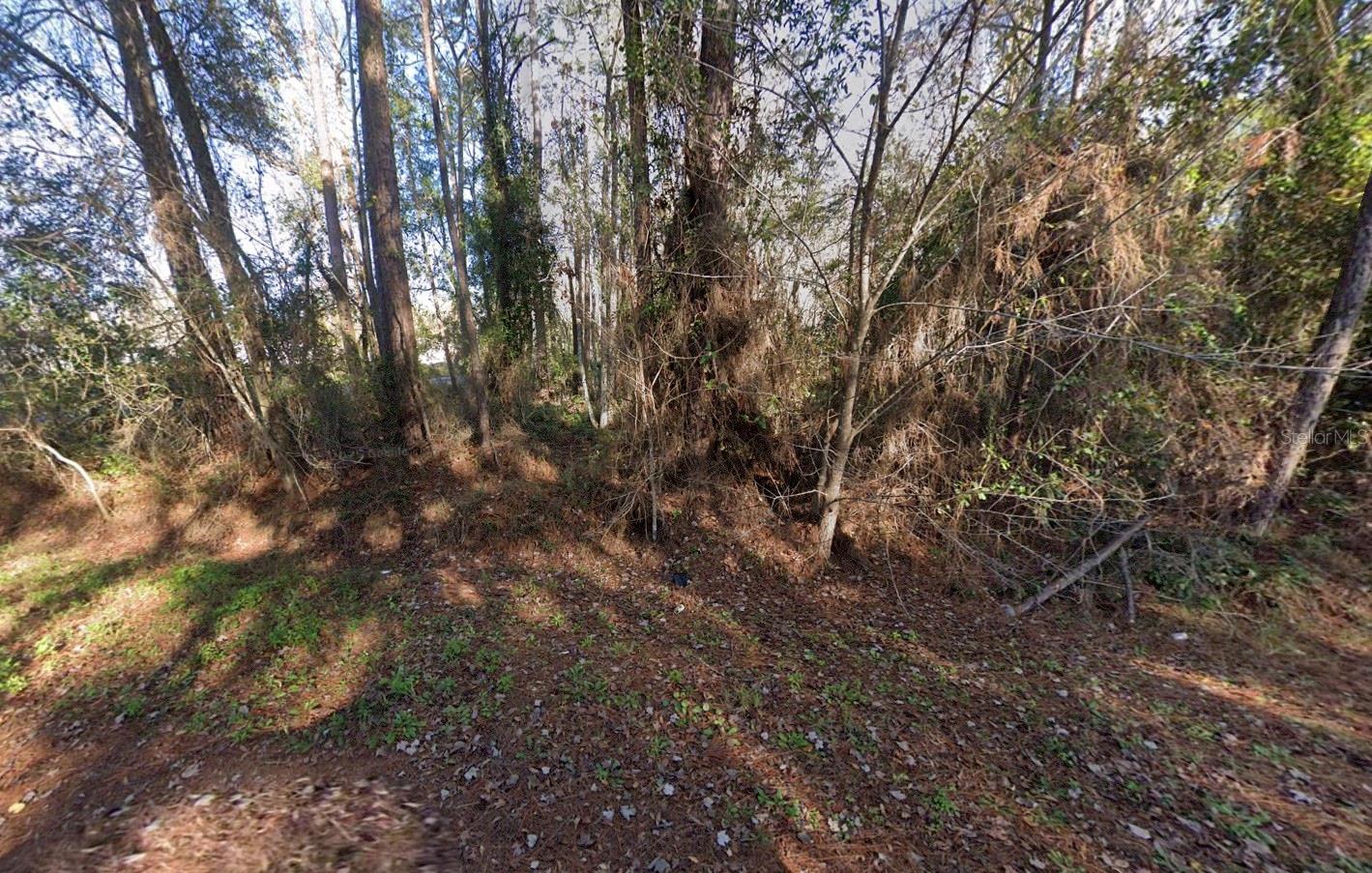 110 PAMELA DR