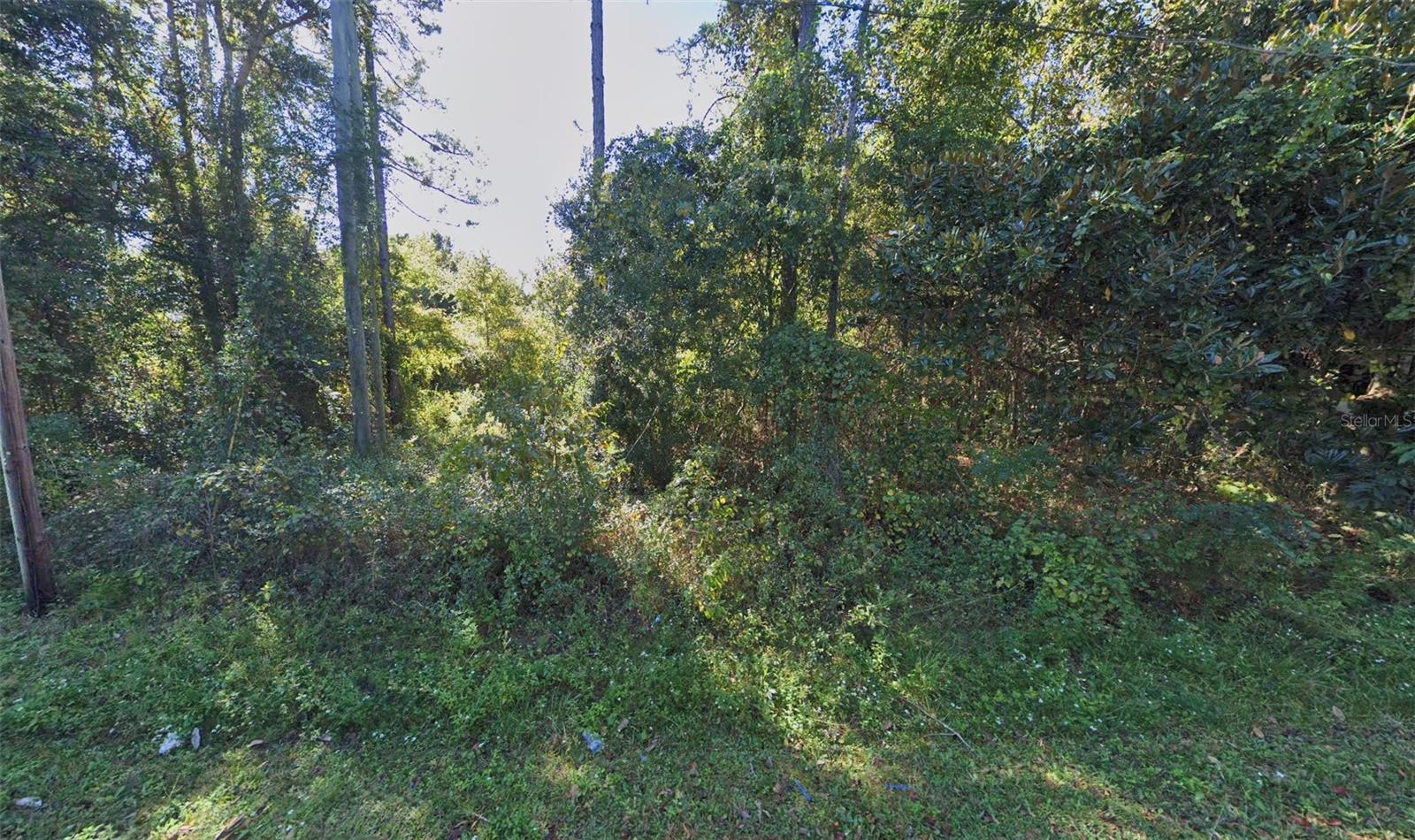 NE 133RD WAY