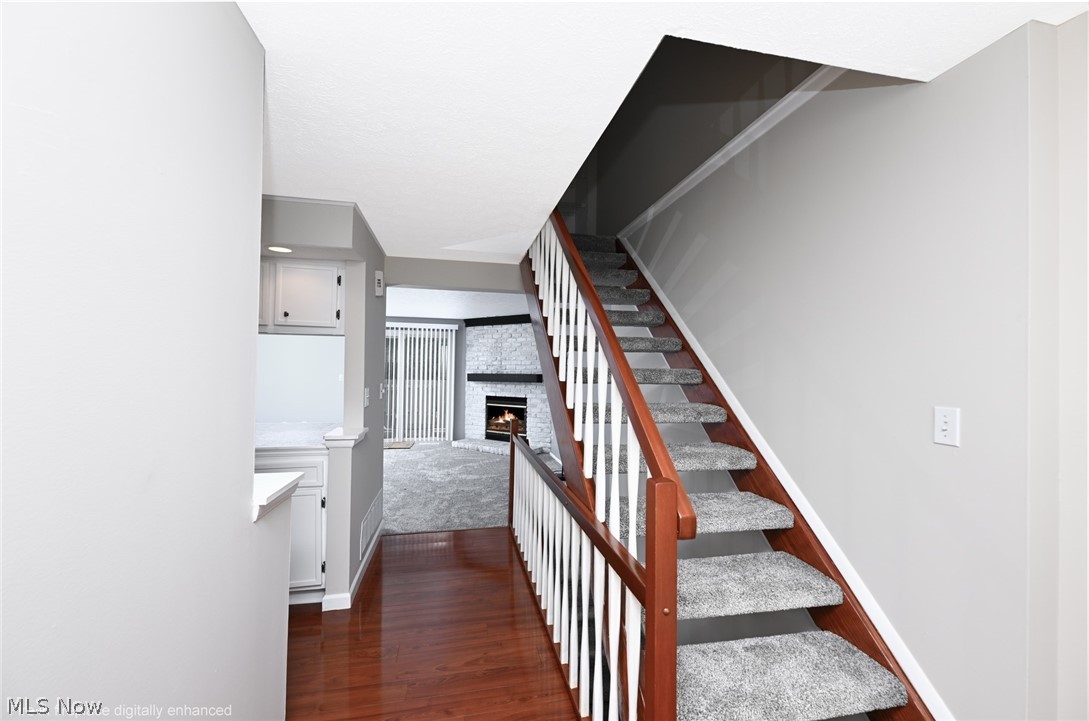 1033 Sunhaven Drive