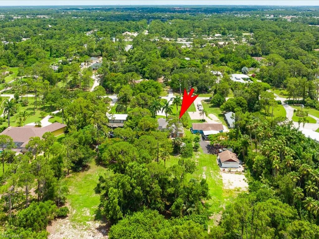 6021 PAINTED LEAF LN