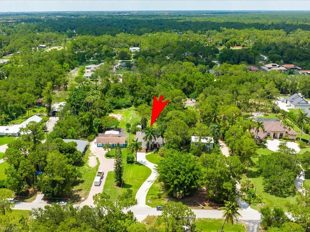 6021 PAINTED LEAF LN