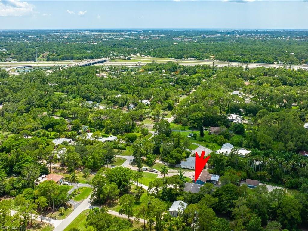 6021 PAINTED LEAF LN