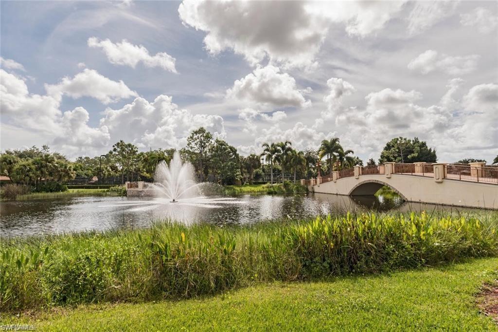 1595 TRIANGLE PALM TER