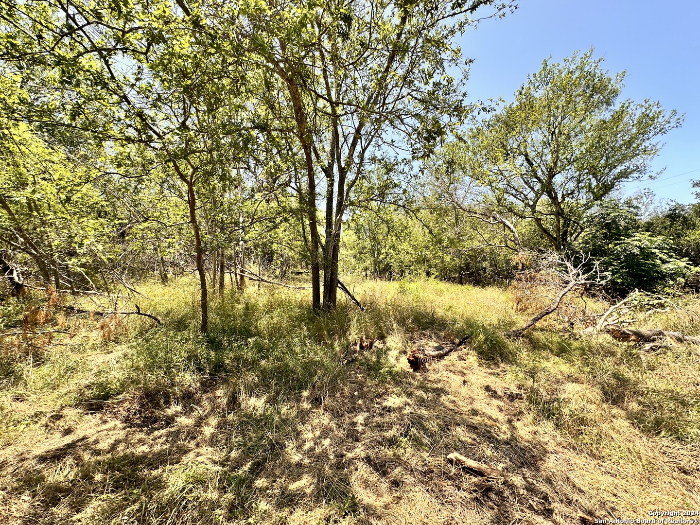 284 COUNTY ROAD 6715