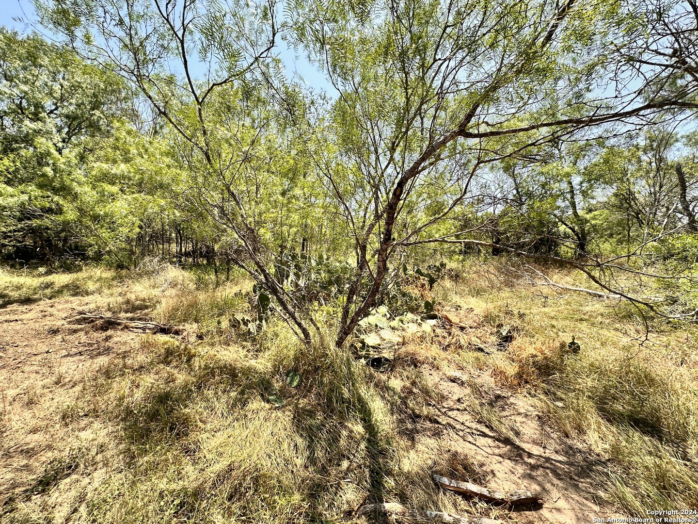 284 COUNTY ROAD 6715